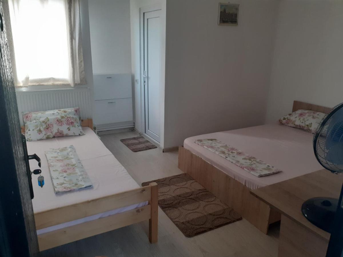 Kociu'S House Ξενοδοχείο Κονστάντζα Εξωτερικό φωτογραφία