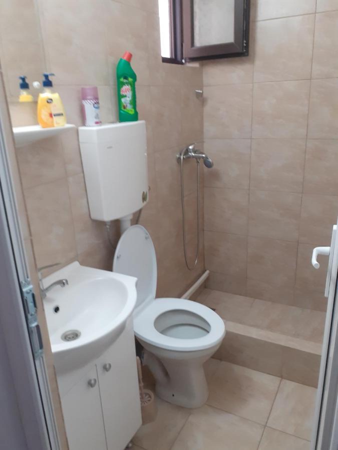 Kociu'S House Ξενοδοχείο Κονστάντζα Εξωτερικό φωτογραφία