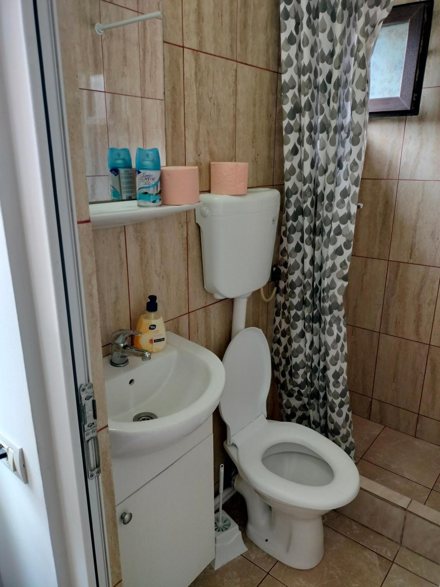 Kociu'S House Ξενοδοχείο Κονστάντζα Εξωτερικό φωτογραφία